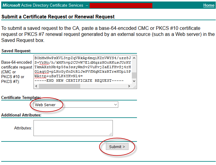 pi-cert04